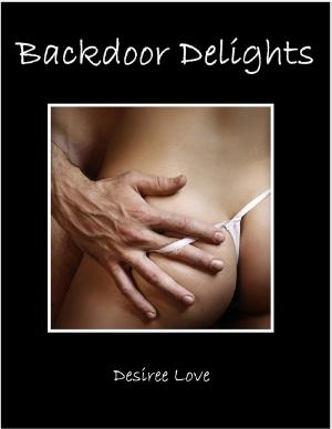 Cover of the book Backdoor Delights by Penny Powers