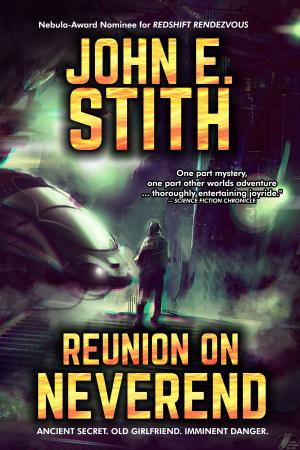 Cover of the book Reunion on Neverend by Ian Stewart, Tim Poston