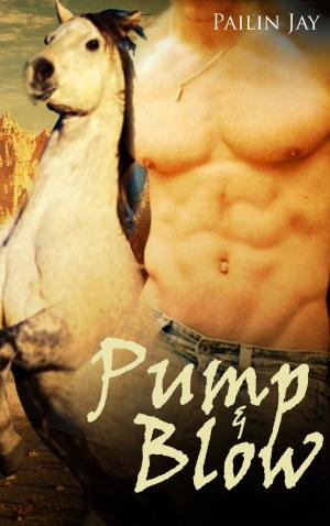 Book cover of Pump & Blow