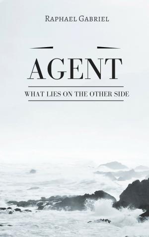 Cover of the book Agent by Stephan Sigg, Niklas Schütte