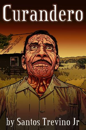 Cover of the book Curandero by Sean Day
