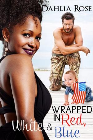 Cover of the book Wrapped In Red, White and Blue by Dahlia Rose