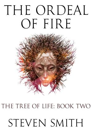 Cover of the book The Ordeal of Fire by Jeffrey A. Michael