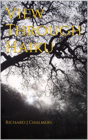 Cover of the book View Through Haiku by Suzanne Whang