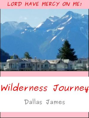 bigCover of the book Wilderness Journey: Lord Have Mercy on Me by 