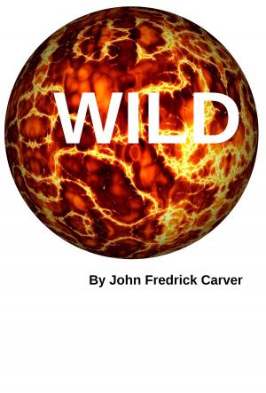Cover of the book Wild by Lee Tobin McClain