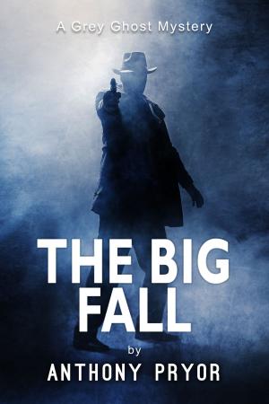 Cover of the book The Big Fall by Ted Dekker