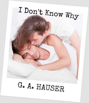 Cover of the book I Don't Know Why by K.L. Montgomery