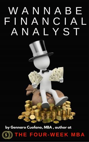 Cover of Wannabe Financial Analyst | Useful Tips and Resources to get you started with financial analysis