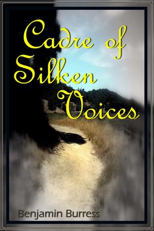 Cover of the book Cadre of Silken Voices by Jesse Saunders