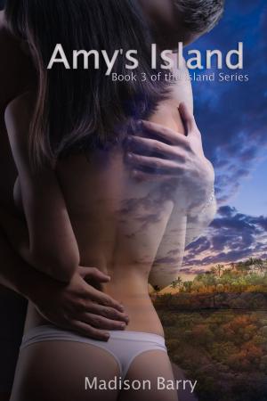 Cover of the book Amy's Island by Madison Barry