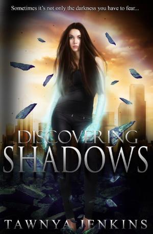 Book cover of Discovering Shadows