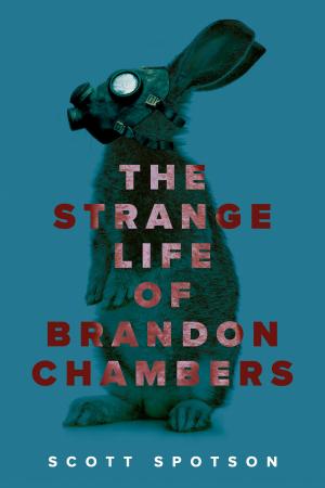 Book cover of The Strange Life of Brandon Chambers