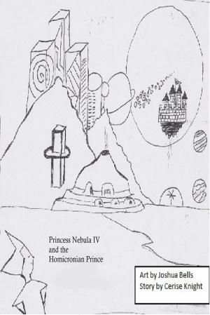 Cover of the book Princess Nebula IV and the Homicronian Prince by Brendan Carroll