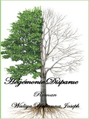 Cover of Hégémonie Disparue