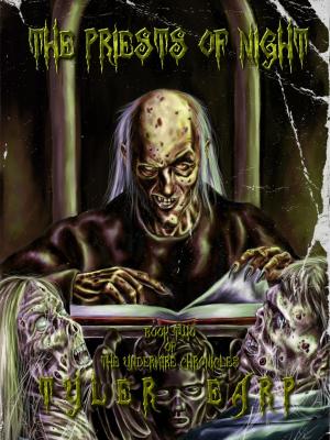 Cover of the book The Priests of Night by Dawn Gray