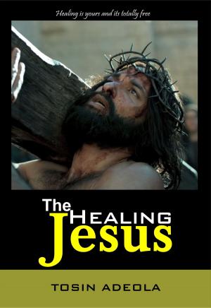 Cover of the book The Healing Jesus by Becky Enenche MD