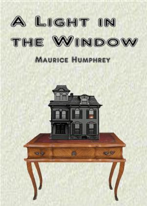 Book cover of A Light in the Window
