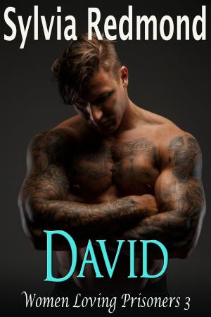 Cover of the book David by Q. Queen