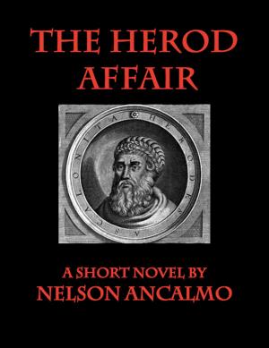 Book cover of The Herod Affair