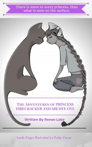 Book cover of The Adventures of Princess Firecracker and Sir Hye Oye