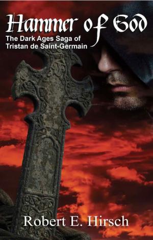 Cover of the book Hammer of God by Bracha Goetz