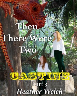Cover of the book Castine, Then There Were Two, Part 3 by Anne Hope