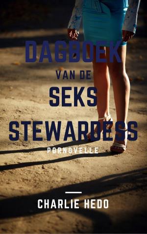 Cover of the book Dagboek van de Seksstewardess by Charlie Hedo