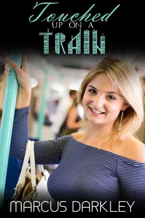 Cover of the book Touched Up on a Train by CJ Edwards