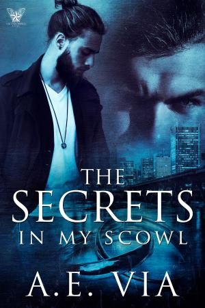 Cover of the book The Secrets in my Scowl by A.E. Via