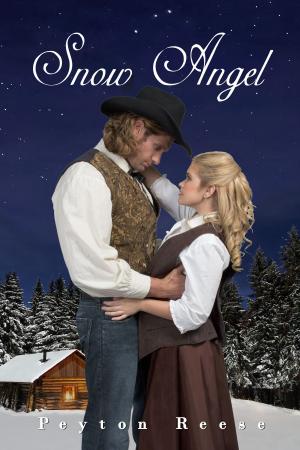Book cover of Snow Angel