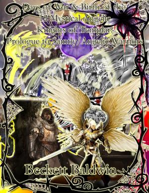 Book cover of Days of War & Birth of the 12 Mystical Knights of Templar; Prologue to Saintly/Angelic Warriors
