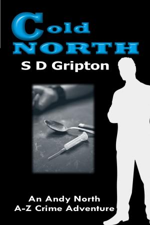 Cover of the book Cold North by Brett Halliday