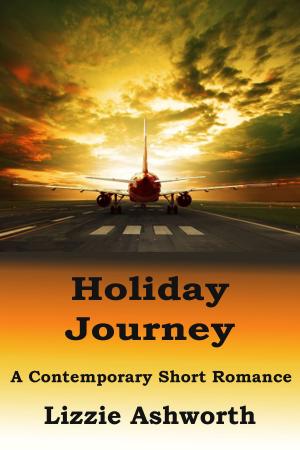 Cover of the book Holiday Journey by Lizzie Ashworth