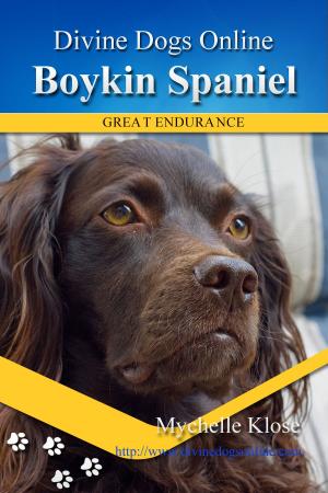Book cover of Boykin Spaniel