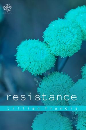 Cover of the book Resistance (Village Love #1) by Evie Snow