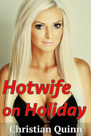 Cover of the book Hotwife on Holiday by Martine Chevry