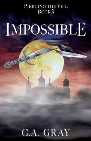 Book cover of Impossible: Piercing the Veil, Book 3