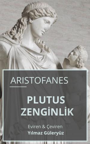 Book cover of Plutus Zenginlik