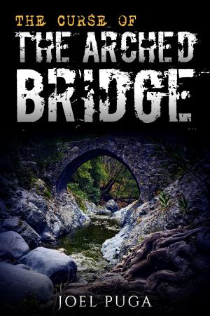 Book cover of The Curse of the Arched Bridge