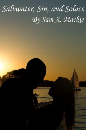 Cover of the book Saltwater Sin, and Solace by Chris Reher