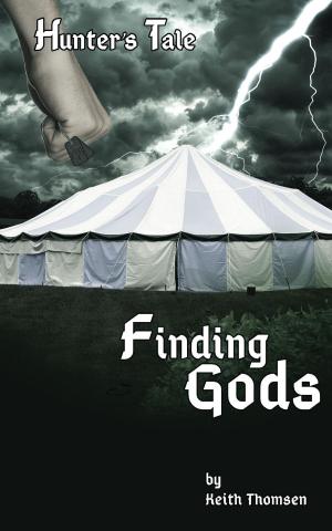 Cover of the book Finding Gods by Winston Pinnock
