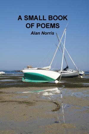 Cover of the book A Small Book of Poems by Alan Norris