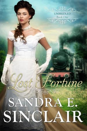bigCover of the book Lost Fortune by 