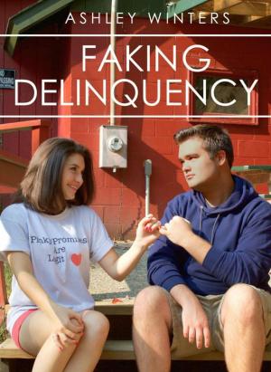 Cover of the book Faking Delinquency by Molly Stegall