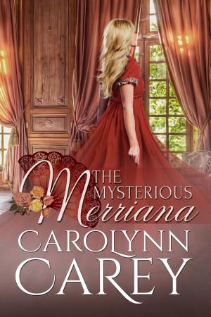 bigCover of the book The Mysterious Merriana by 