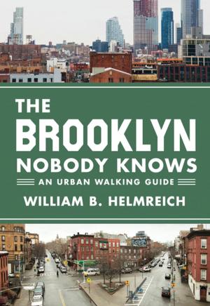 Cover of the book The Brooklyn Nobody Knows by David P. Billington, Jr., David Billington Jr.