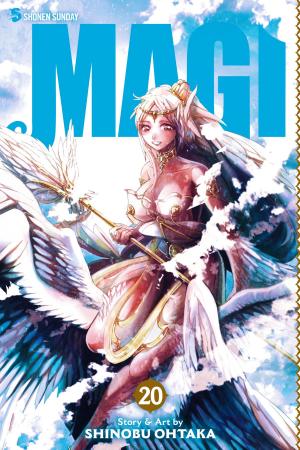 Cover of the book Magi: The Labyrinth of Magic, Vol. 20 by Yukiru Sugisaki