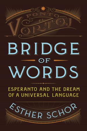 Cover of the book Bridge of Words by David Kocieniewski