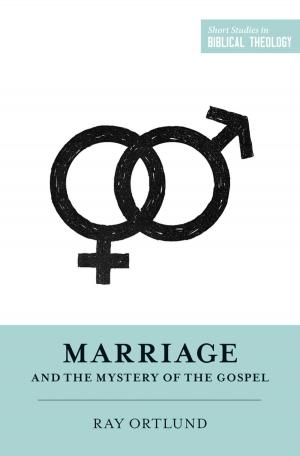 Book cover of Marriage and the Mystery of the Gospel